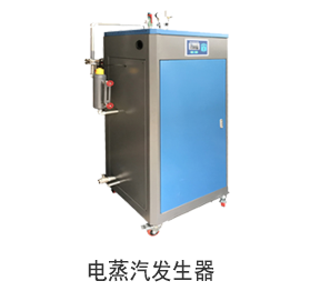 電蒸汽發生器
